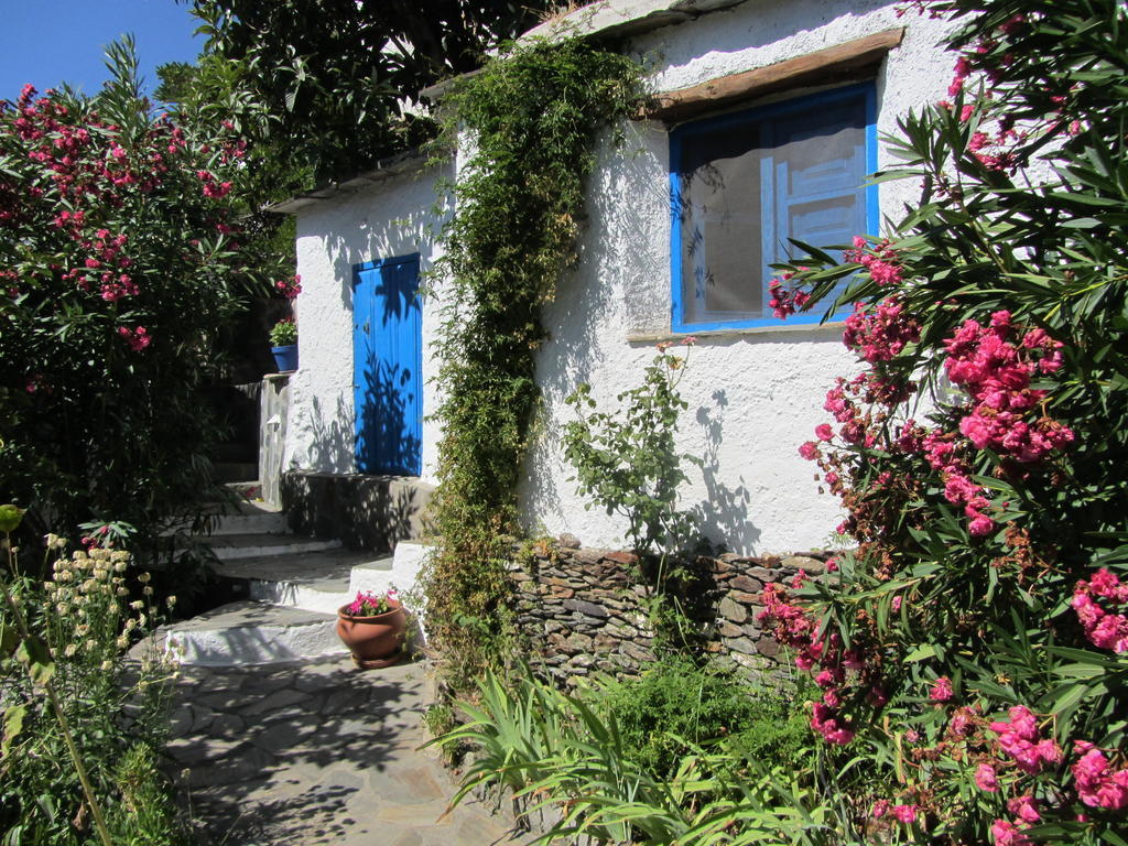 Sierra Y Mar Bed & Breakfast Ferreirola Ruang foto