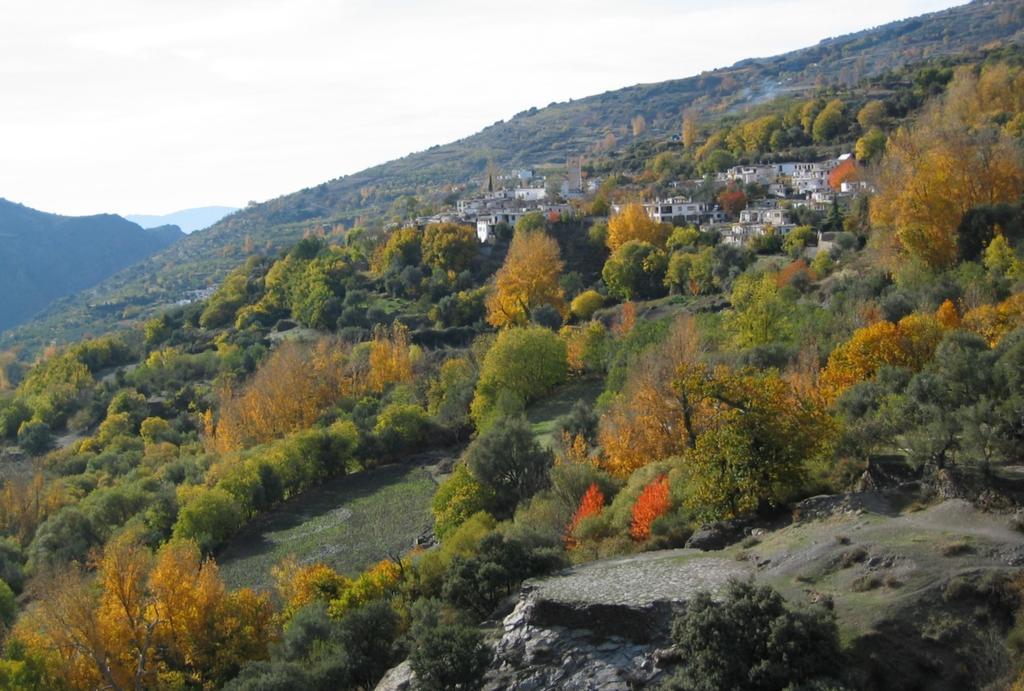 Sierra Y Mar Bed & Breakfast Ferreirola Bagian luar foto