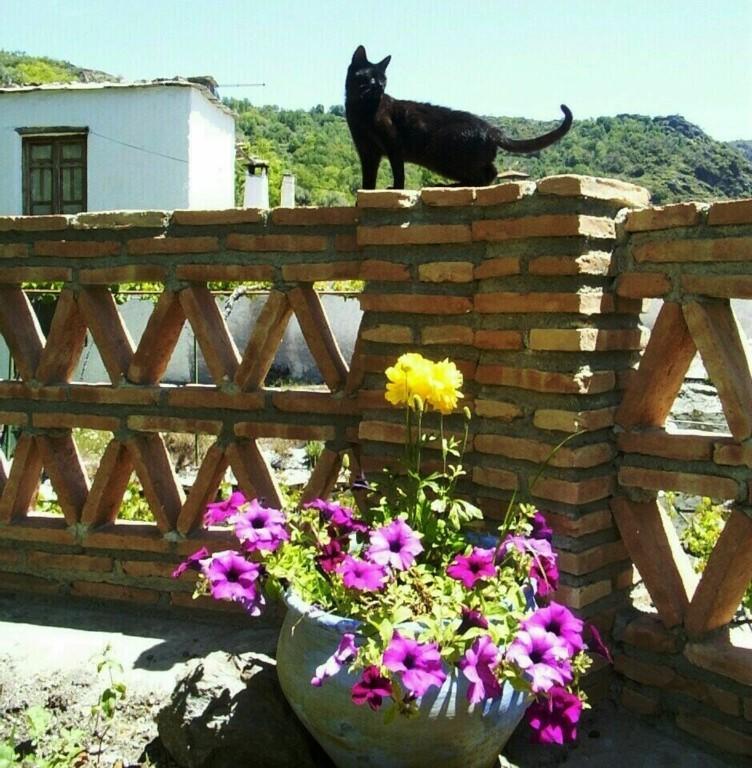 Sierra Y Mar Bed & Breakfast Ferreirola Bagian luar foto