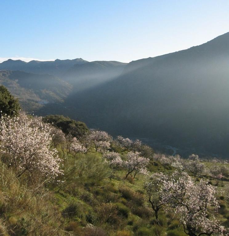 Sierra Y Mar Bed & Breakfast Ferreirola Bagian luar foto