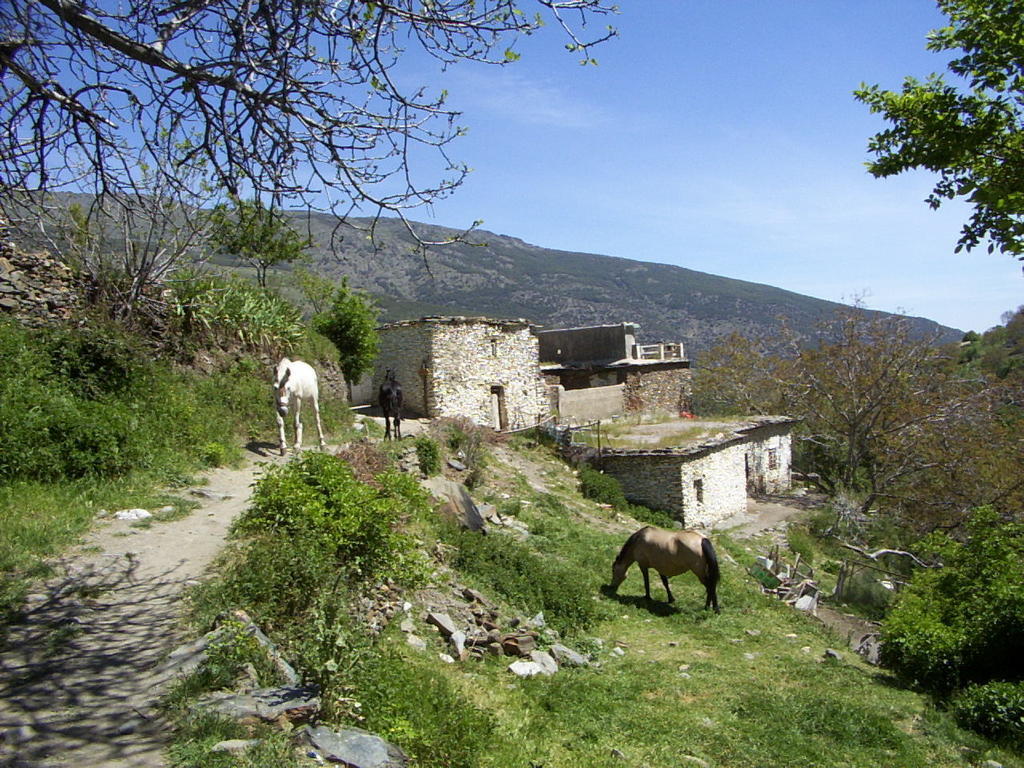 Sierra Y Mar Bed & Breakfast Ferreirola Bagian luar foto