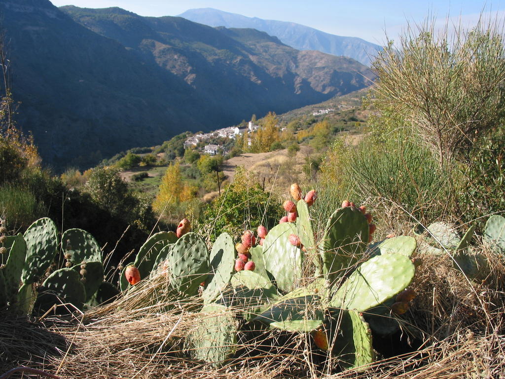 Sierra Y Mar Bed & Breakfast Ferreirola Bagian luar foto